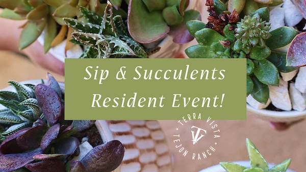 Sip and Succulent Resident Event - Thumbnail Photo