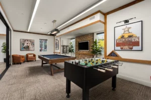 Rec Room Games Terra Vista Community Amenities
