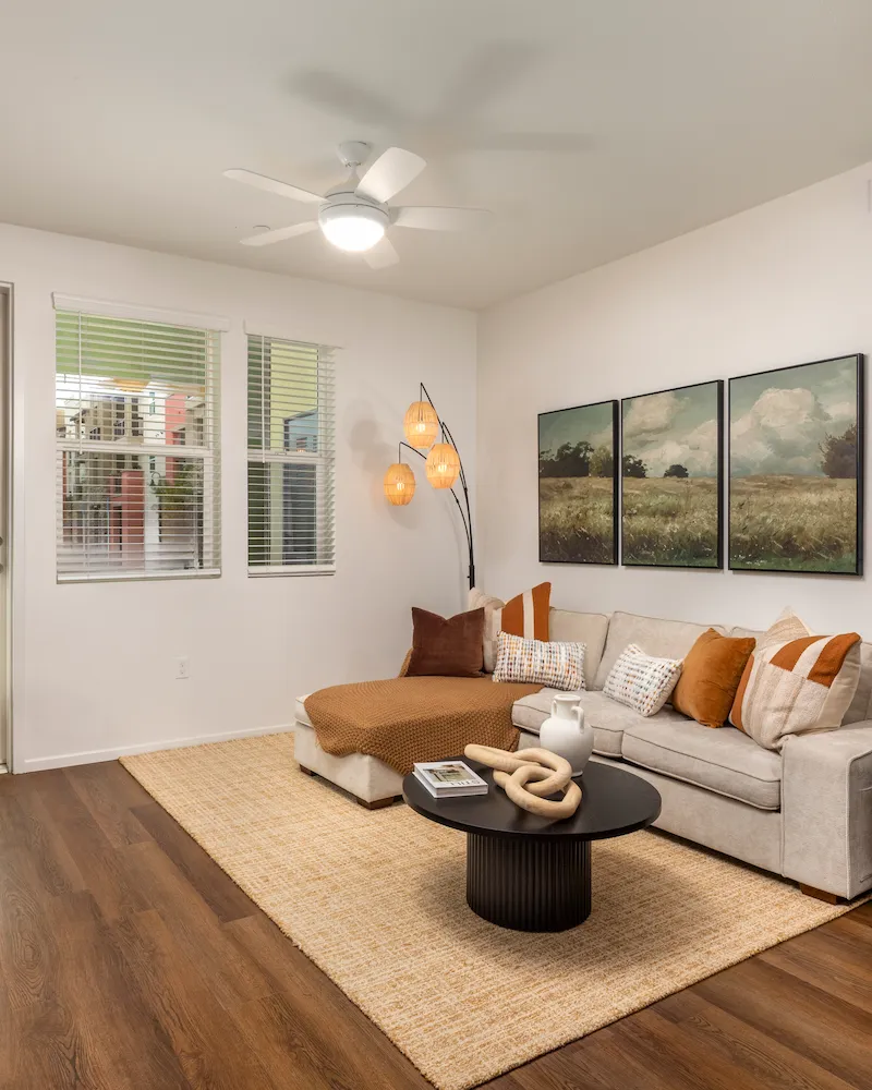 Furnished living room