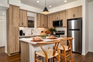 One bedroom kitchen island fully furnished
