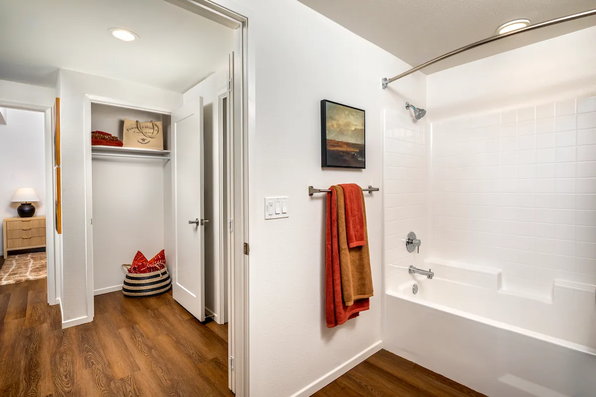 master bathroom bathtub